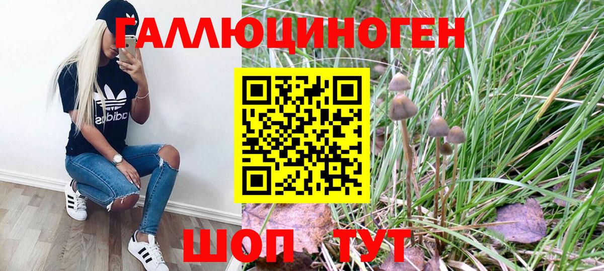 Псилоцибиновые грибы GOLDEN TEACHER Калуга