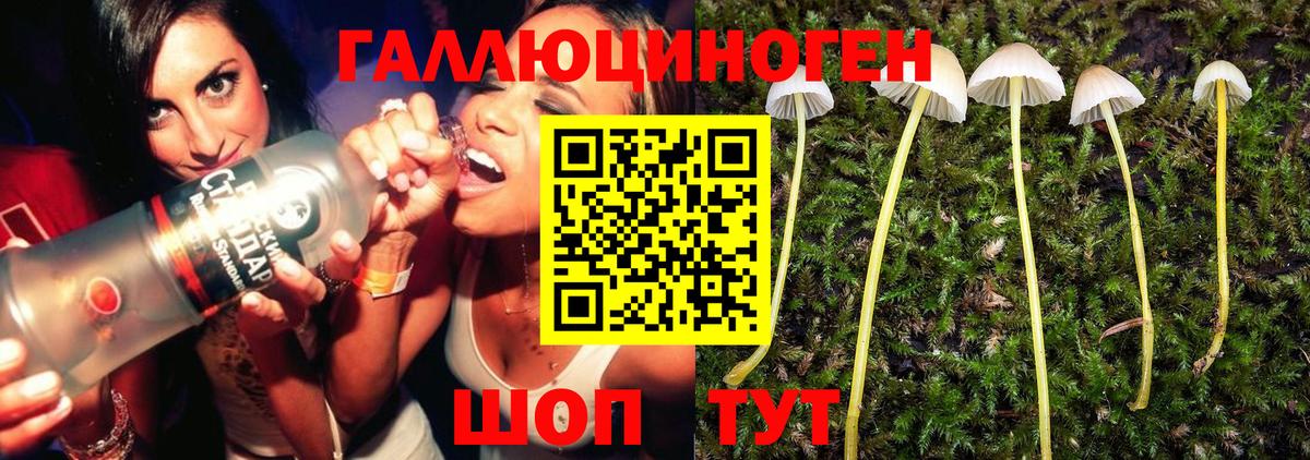 Псилоцибиновые грибы мухоморы  Вход с VPN  Калуга  Псилоцибиновые грибы мухоморы 